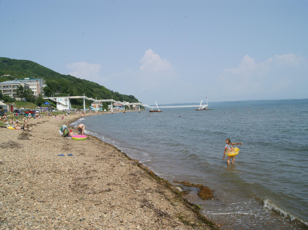 Tavaiza