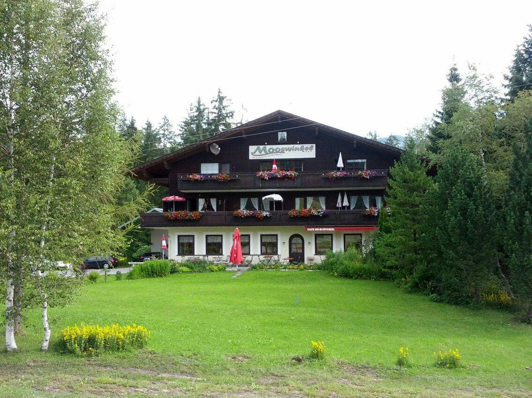 Waldhotel Mooswinkel