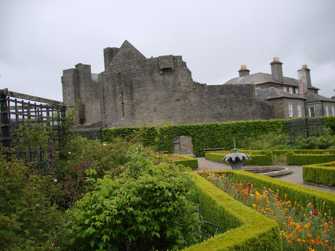Roscrea Castle景点图片