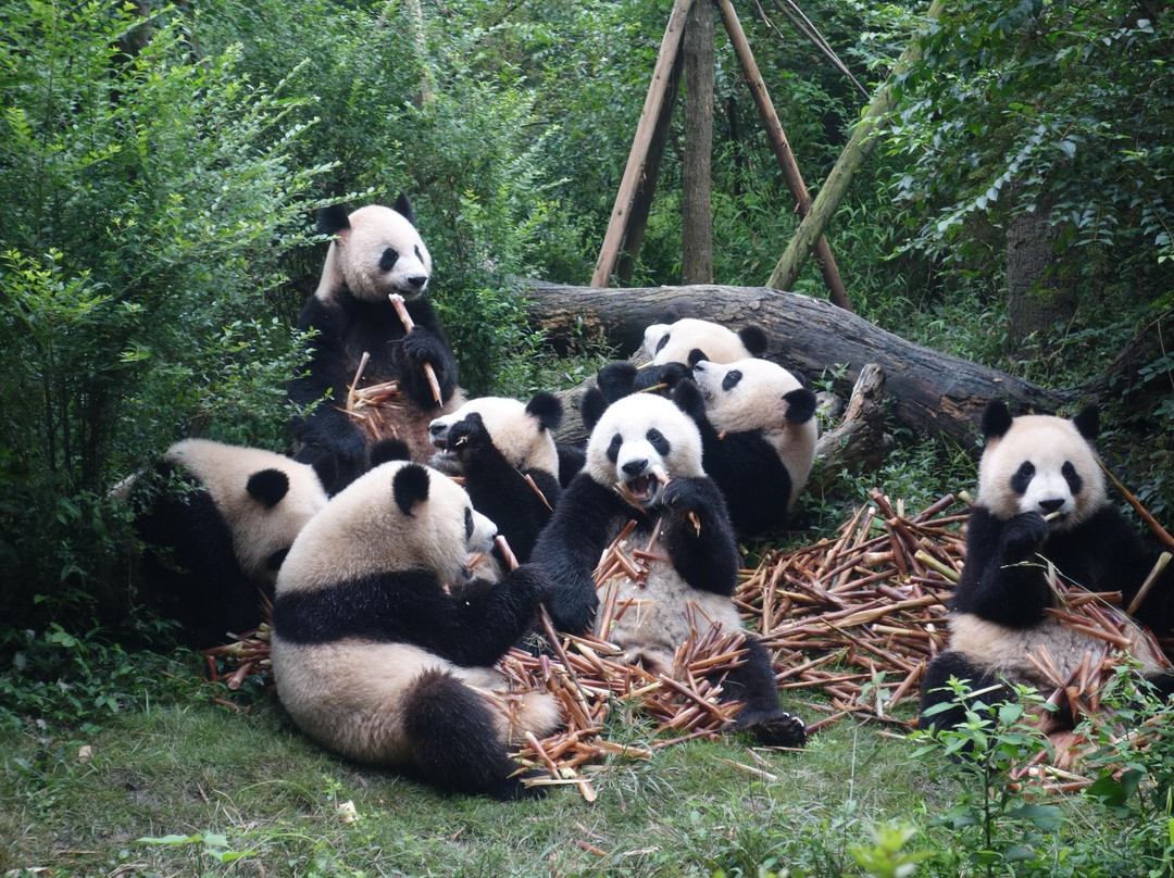 懒骨头青年旅舍主图