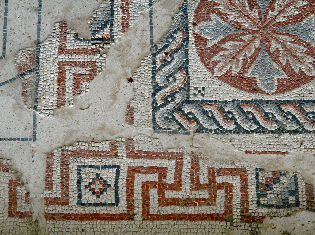 Musee de site Villa-Loupian景点图片