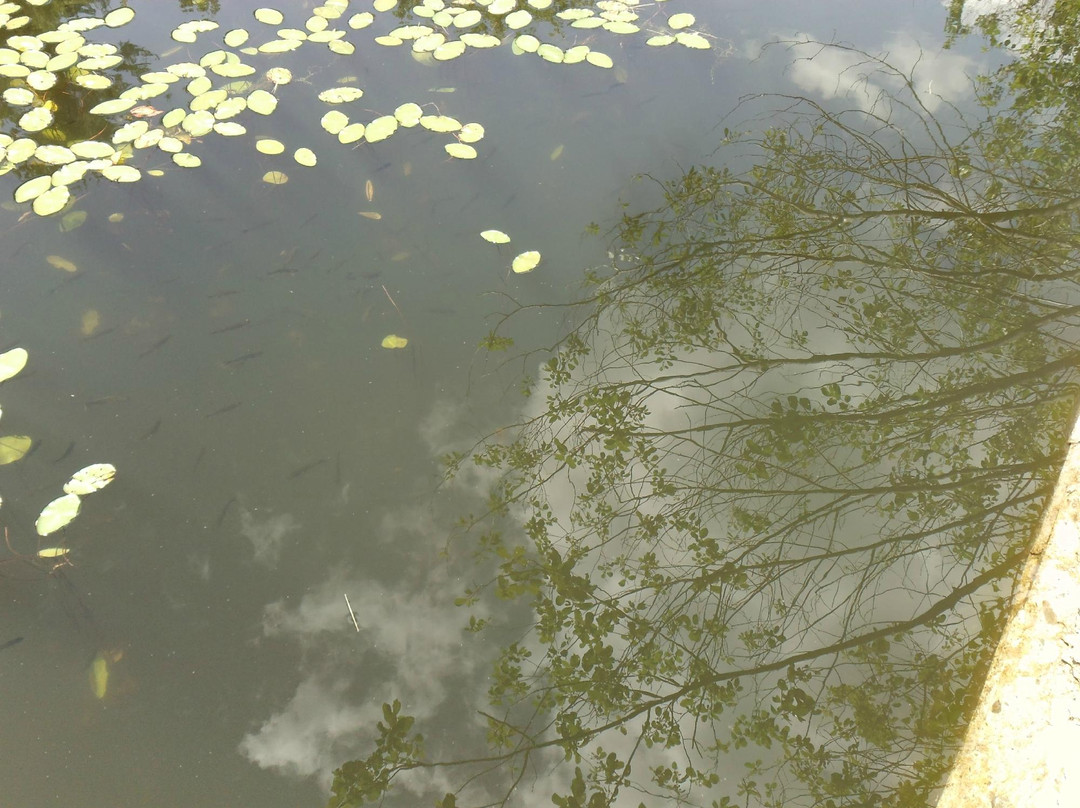 Retreat Trails-布拉特尔伯勒必去景点