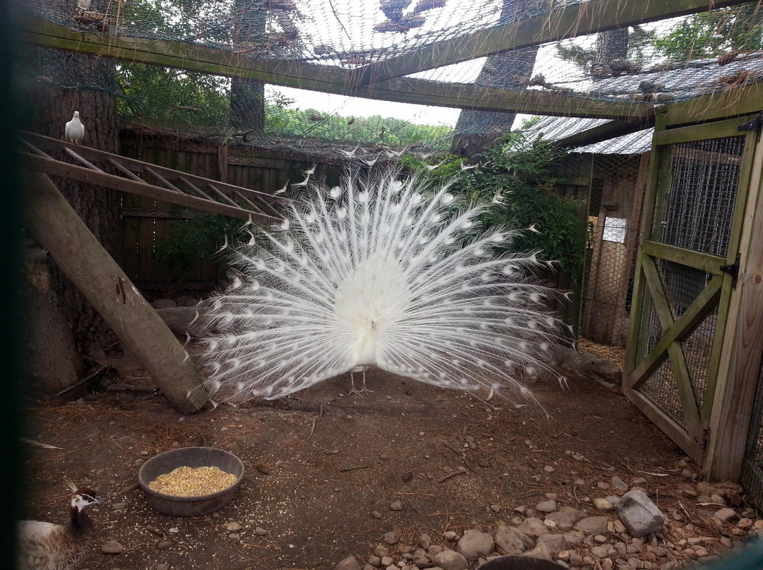 Hunt Club Farm-弗吉尼亚海滩必去景点