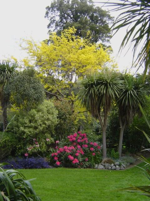Kahikatea Gardens景点图片