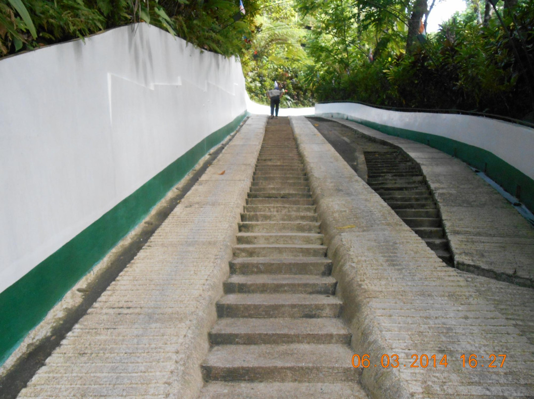 International Doll House-比斯利格必去景点