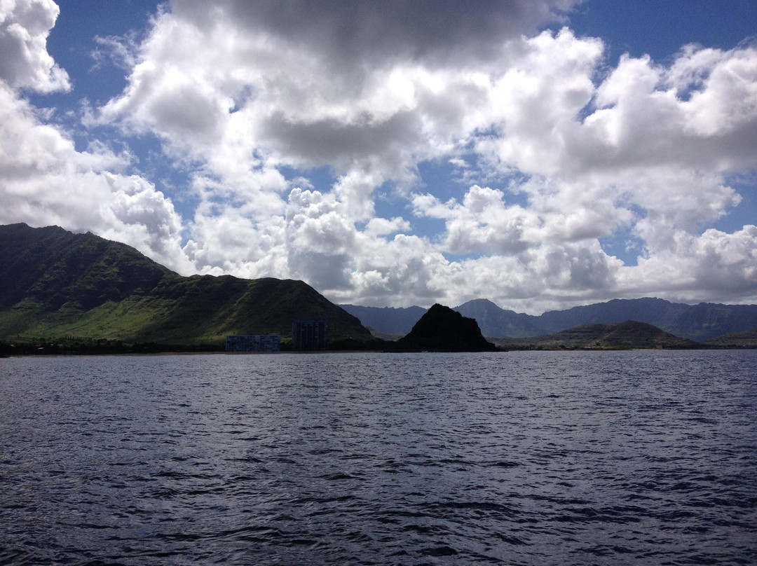 海豚潜水之旅-怀厄奈必去景点