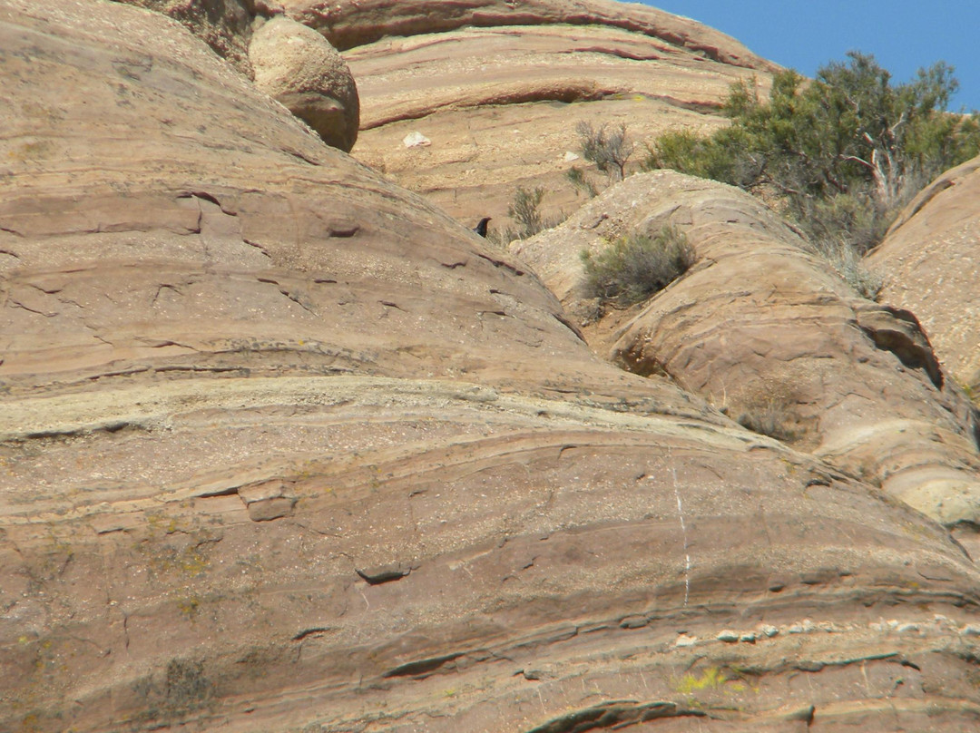 Vasquez Rocks Natural Area景点图片