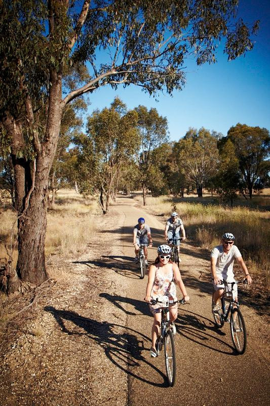 Riding High Cycling Tours - Day Tours-Tarrawingee必去景点