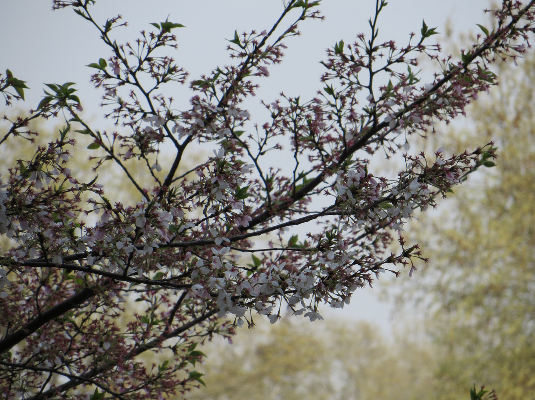 磨山遗址-株洲县必去景点