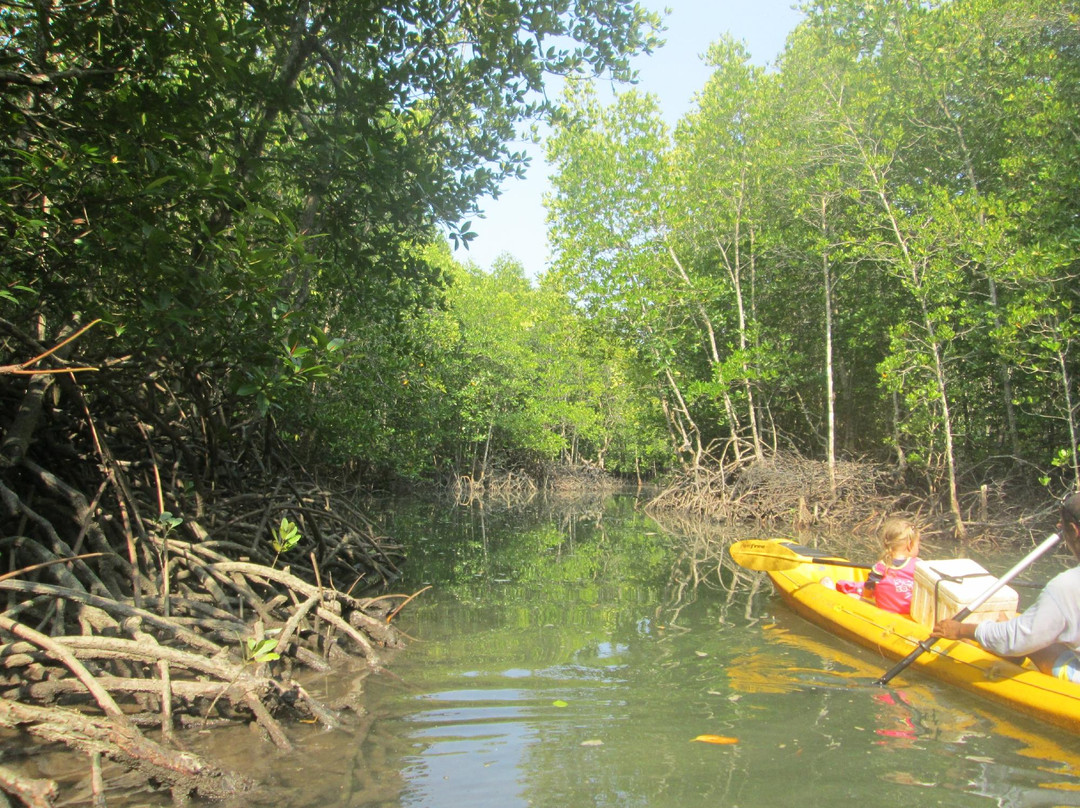大长岛-普吉岛必去景点