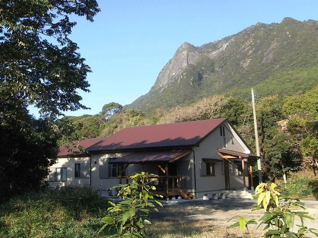屋久岛旅馆