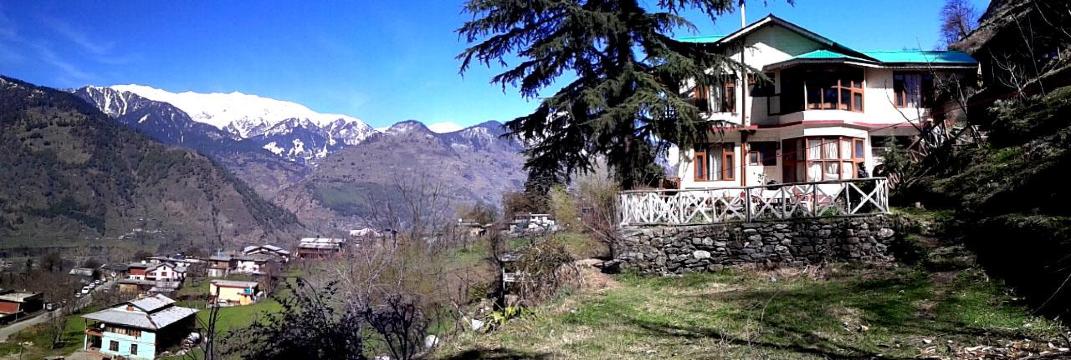 The Pine Palace-官方