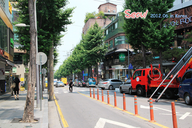 新沙洞林荫树路-首尔必去景点