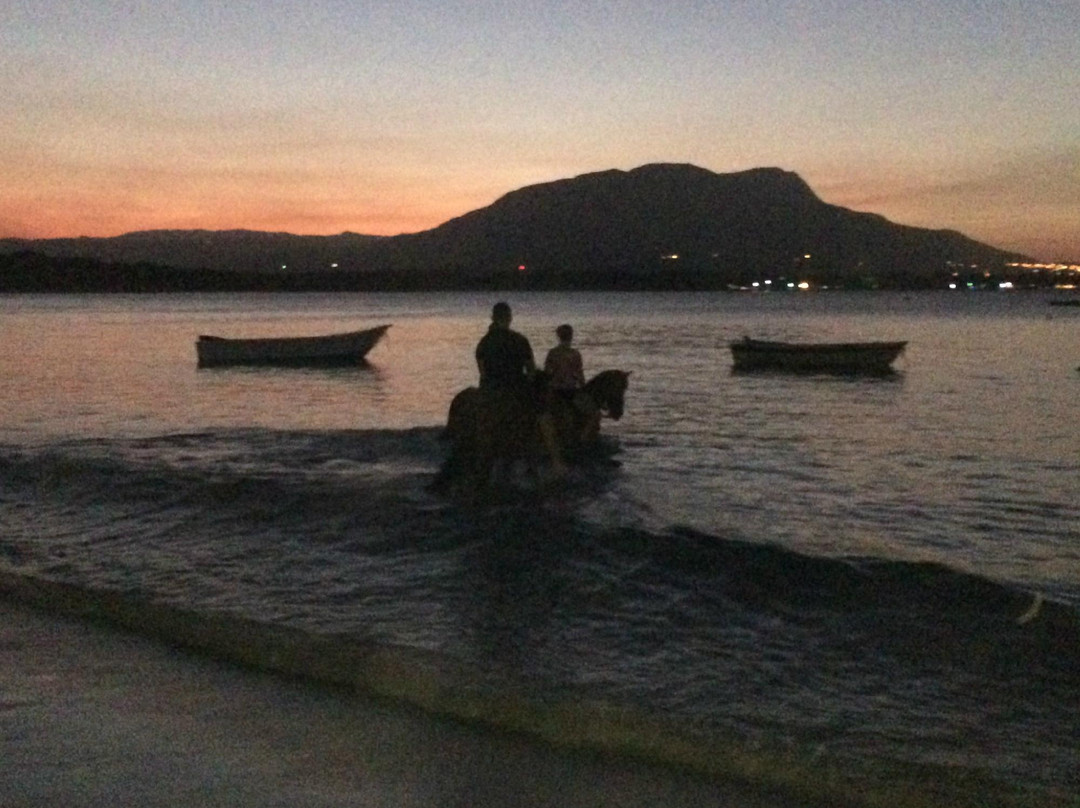 Rancho Salvaje-普拉塔港必去景点