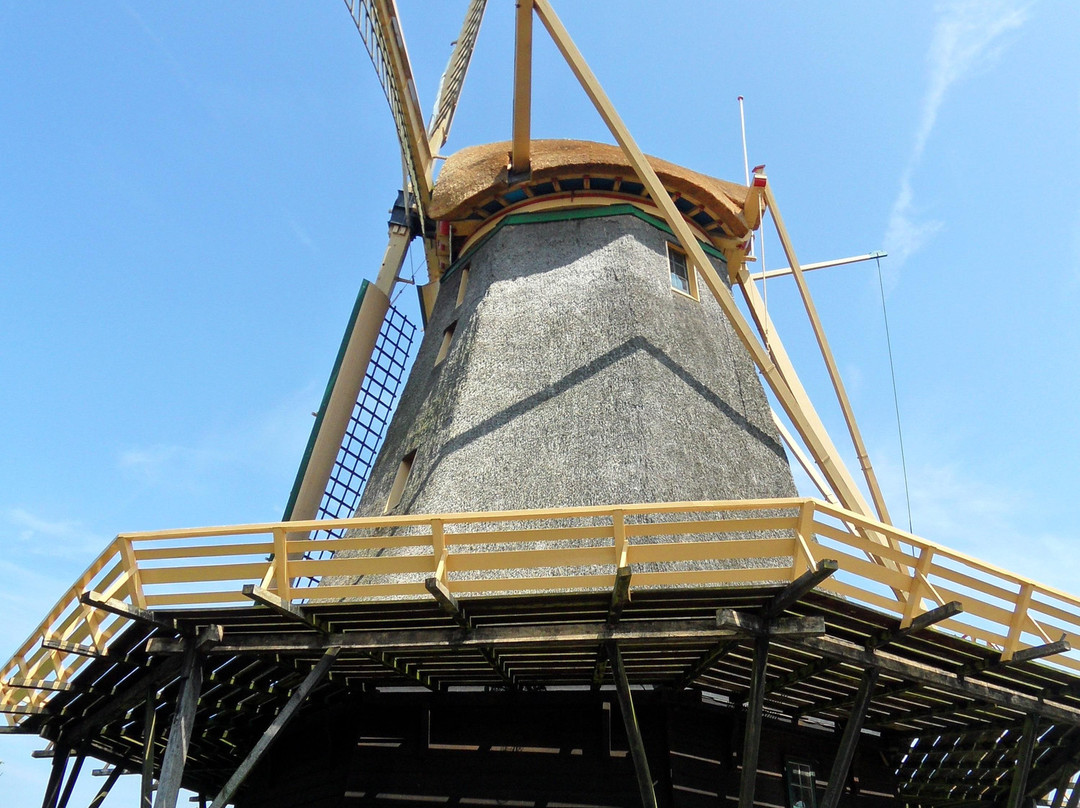 Molen de Vriendschap-韦斯普必去景点