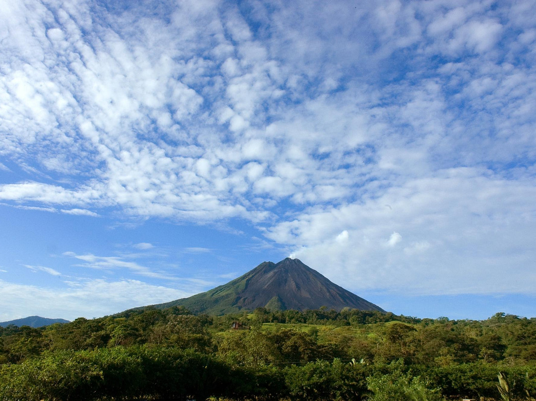 Costa Rican Trails - Day Tours-圣何塞必去景点