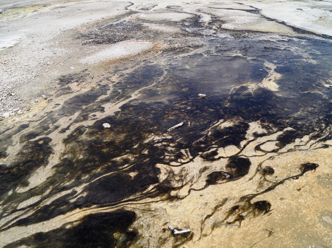 诺里斯间歇泉盆地-黄石国家公园必去景点