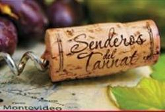 Senderos del Tannat-蒙得维的亚必去景点