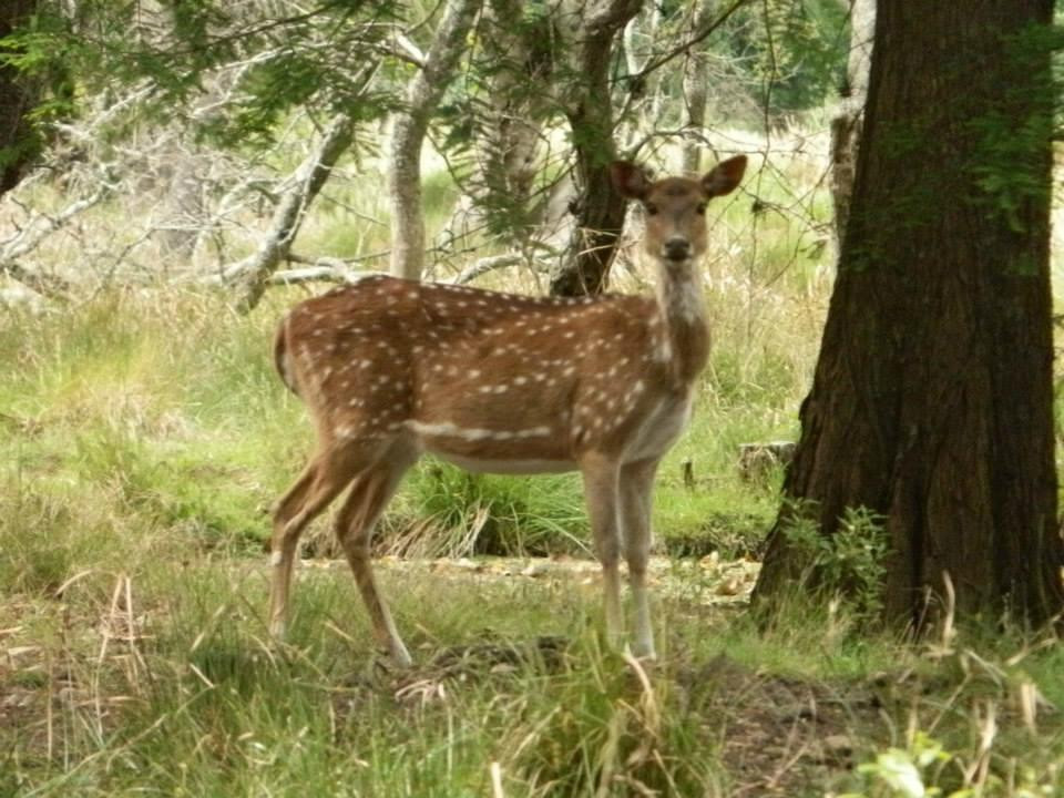Parque Anchorena-科洛尼亚·德尔萨克拉门托城必去景点