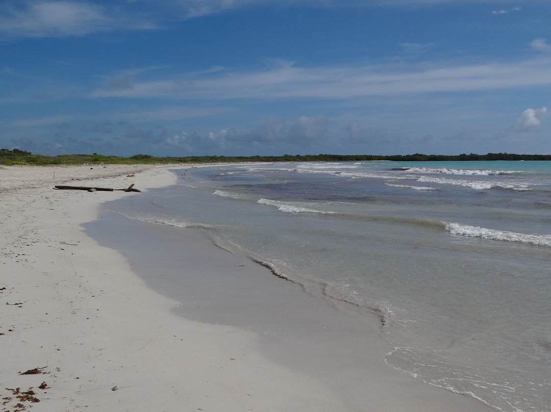 Playa Cayo Varadero-图卡卡斯必去景点