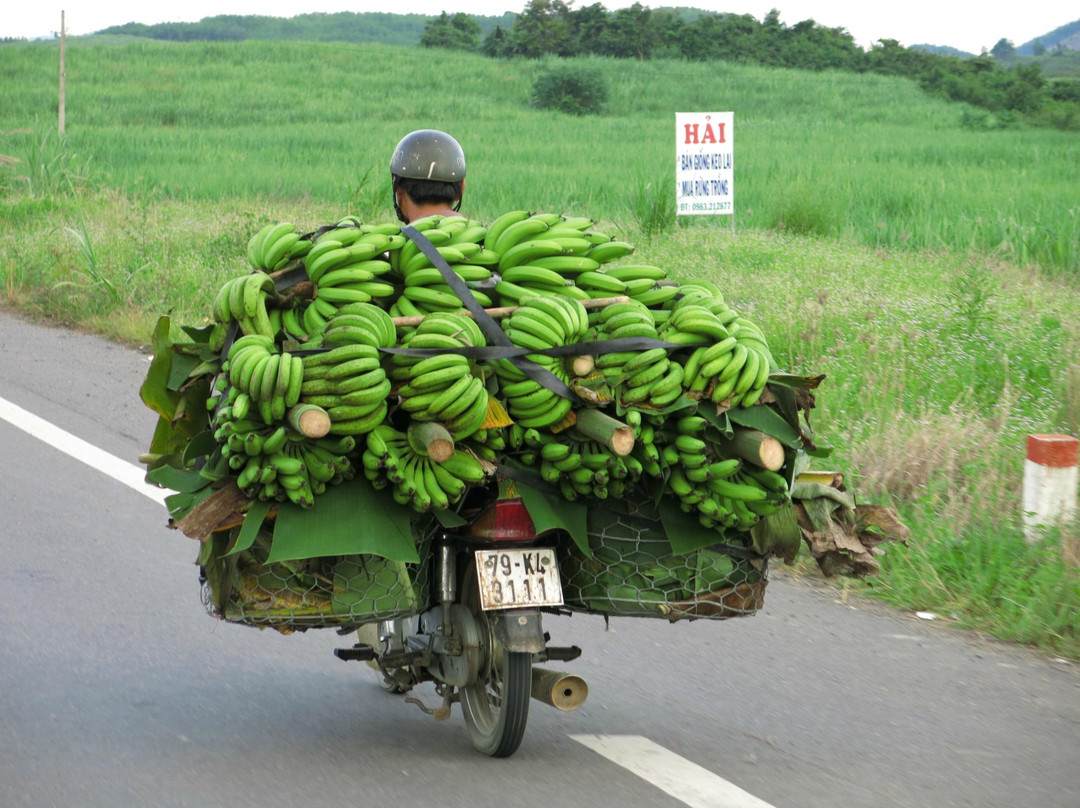 Banana Easy Riders - Private Day Tours-大勒必去景点