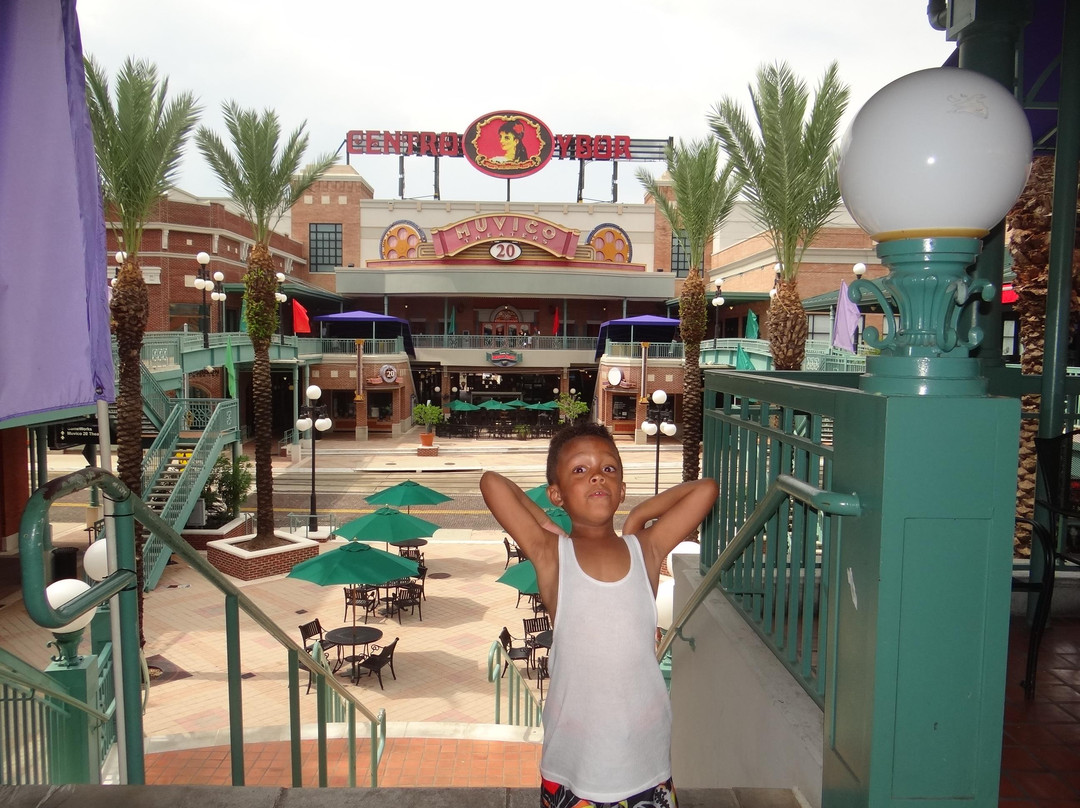 外伯城-坦帕必去景点