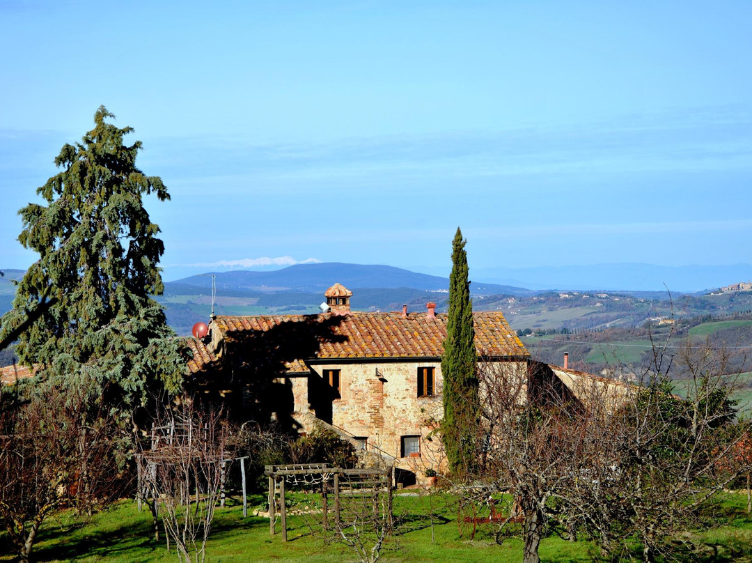 Podere La Fonte