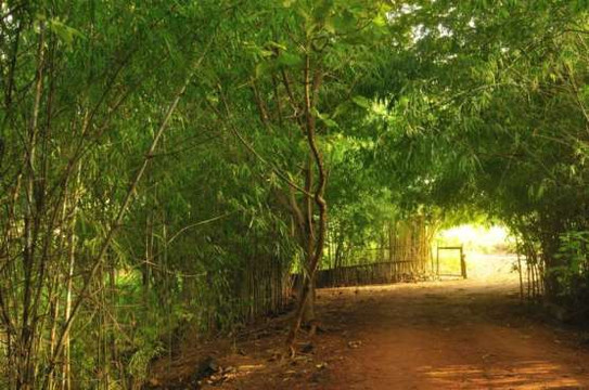 Hidden Village主图