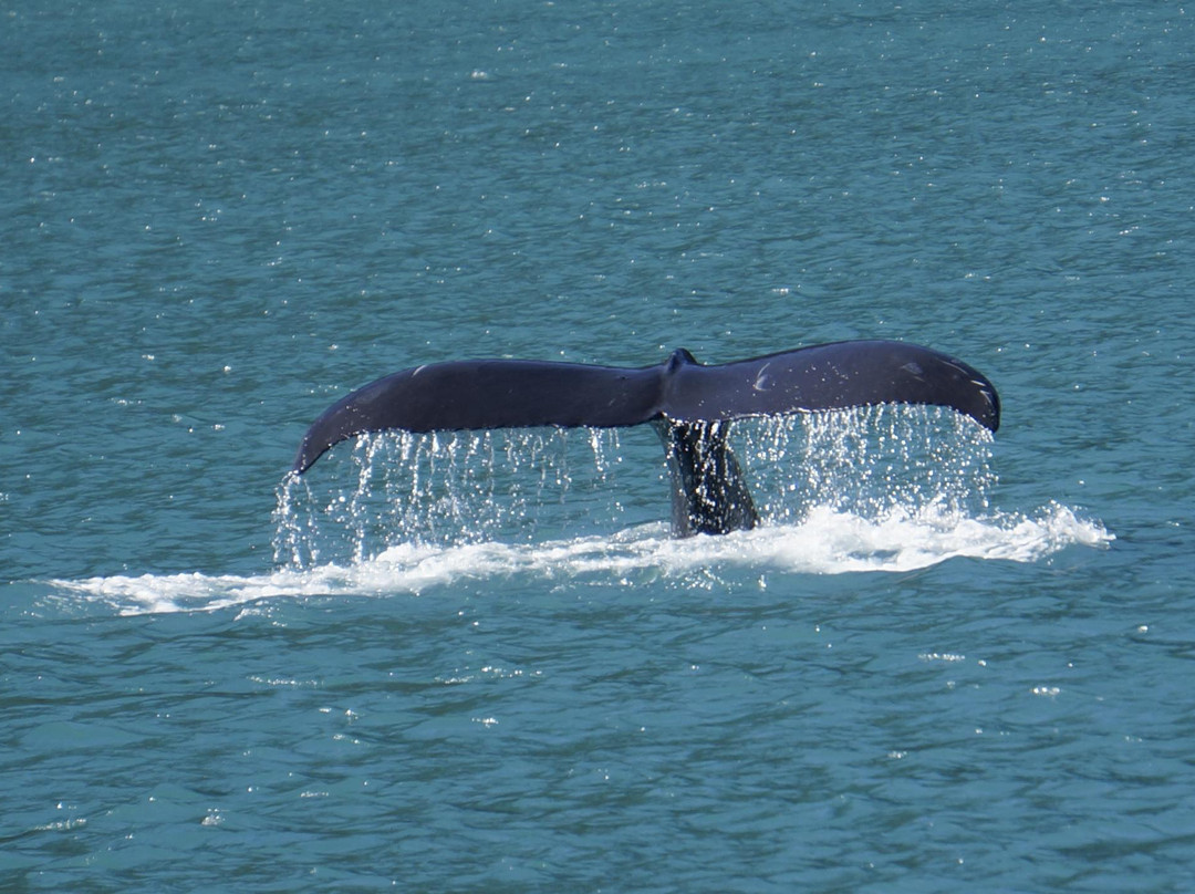 复兴海湾-苏厄德必去景点