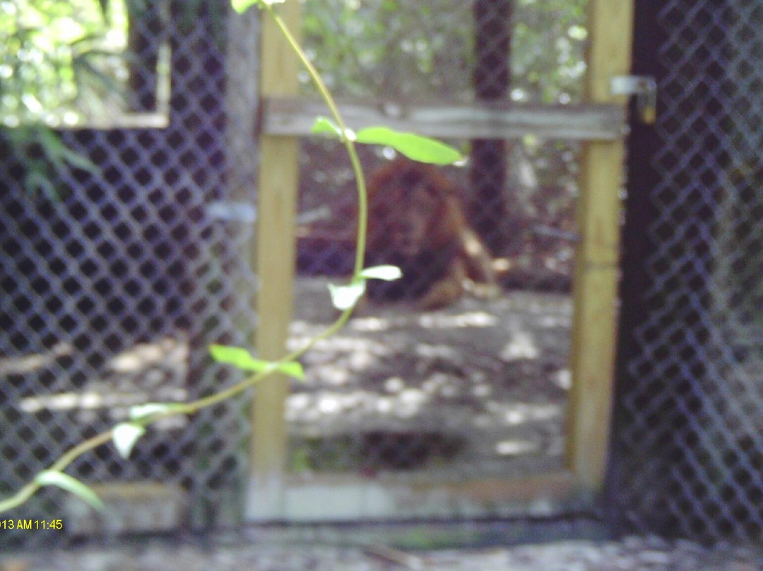 Lions, Tigers & Bears-阿卡迪亚必去景点