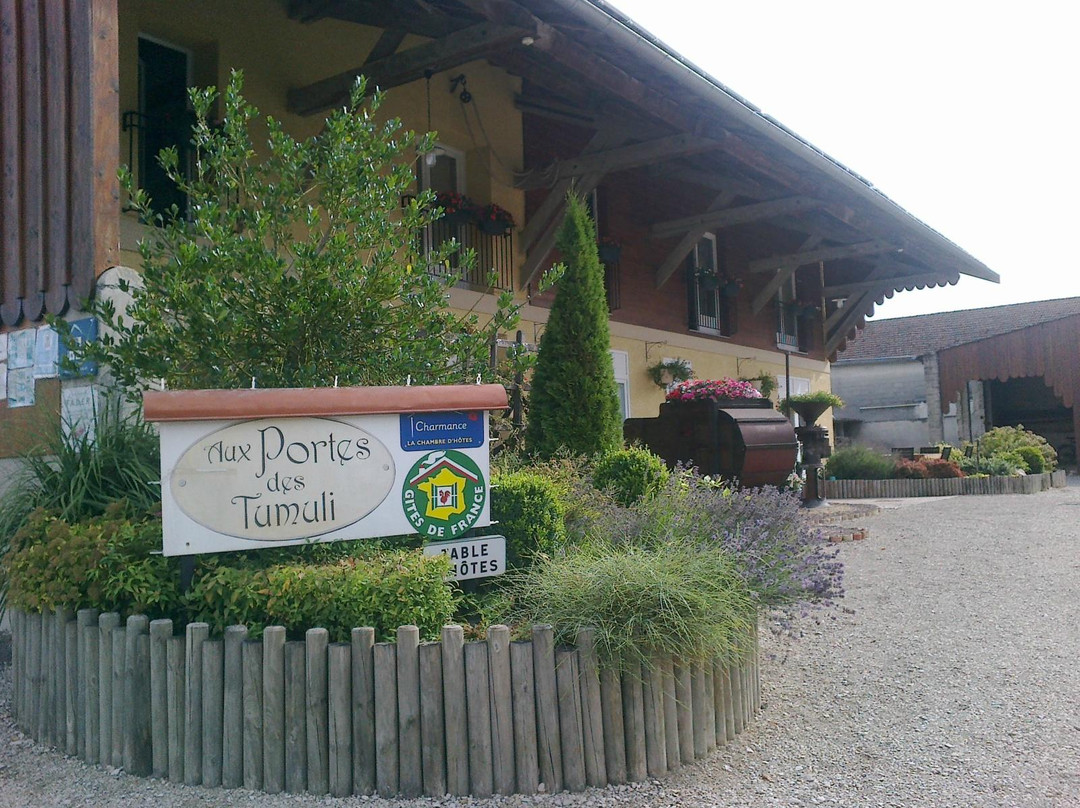 Aux Portes des Tumuli主图