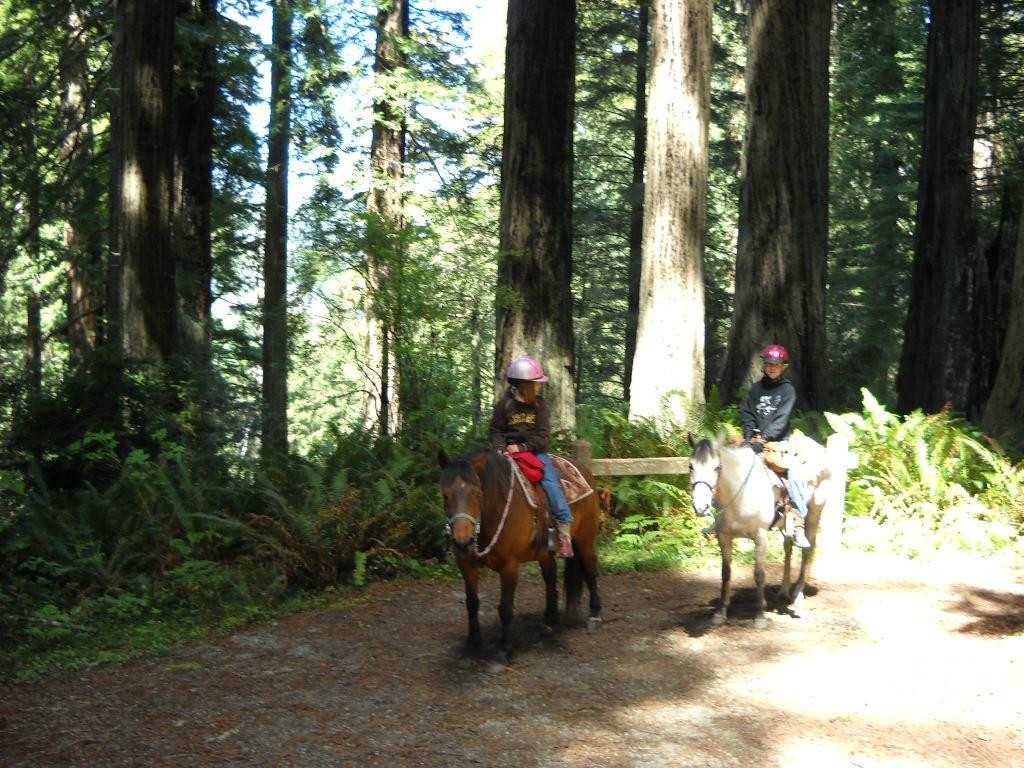 Redwood Creek Buckarettes-Orick必去景点