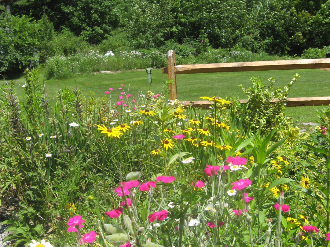 George Perley House主图