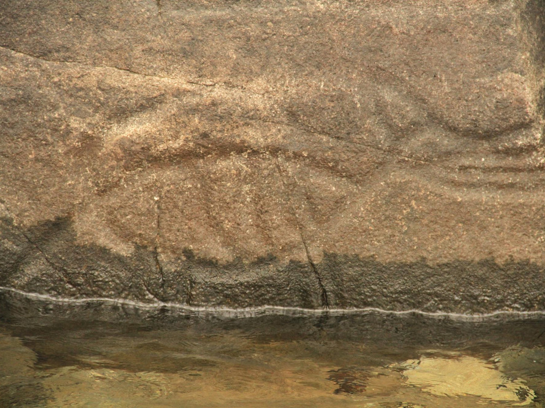 Petroglyphs at Sproat Lake景点图片
