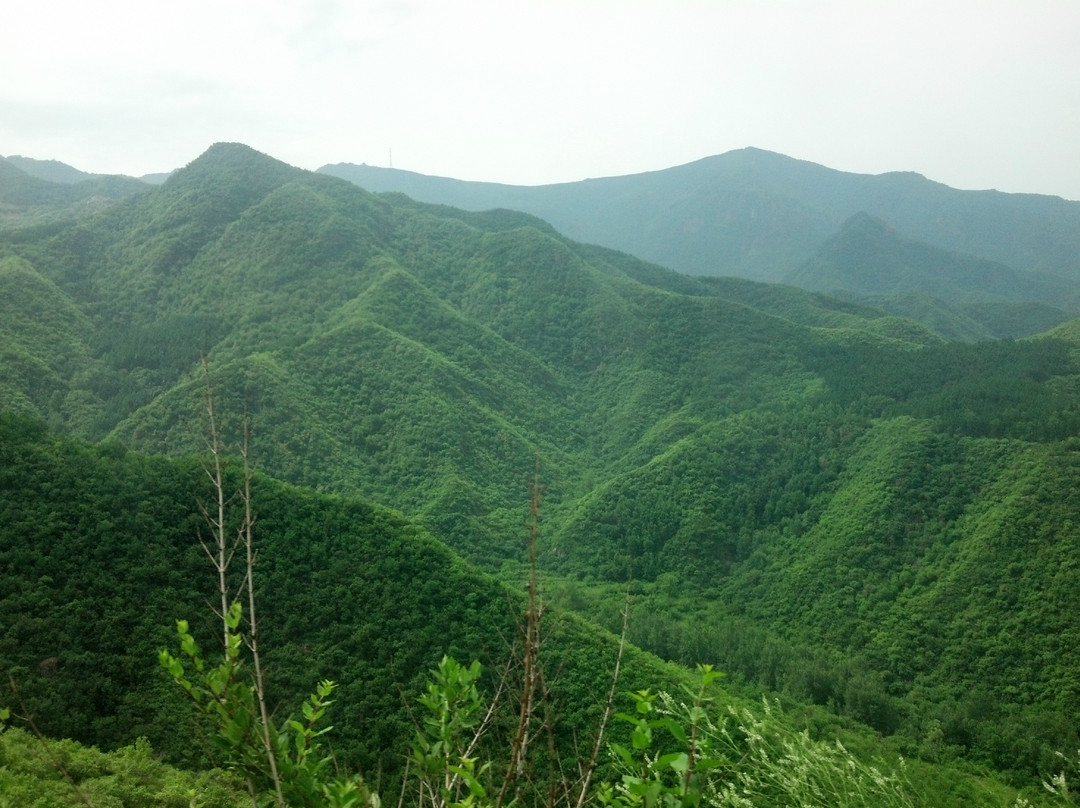 百花山国家级自然保护区-北京市必去景点