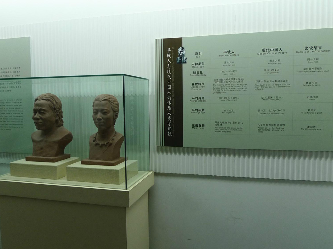 西安半坡博物馆-西安市必去景点