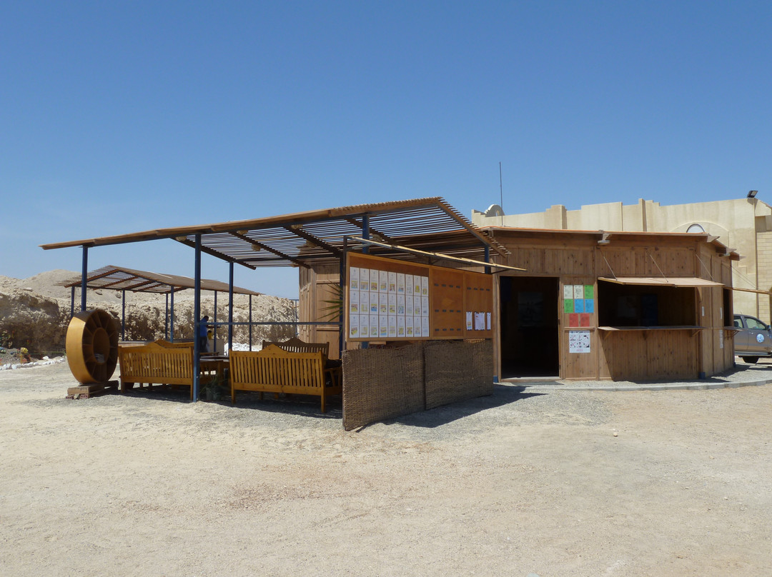 Wonderful Dive-马萨阿拉姆必去景点