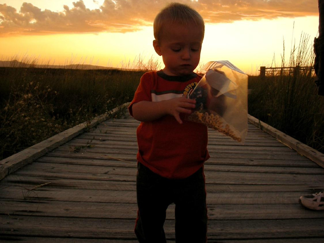 Great Salt Lake Shorelands Preserve景点图片