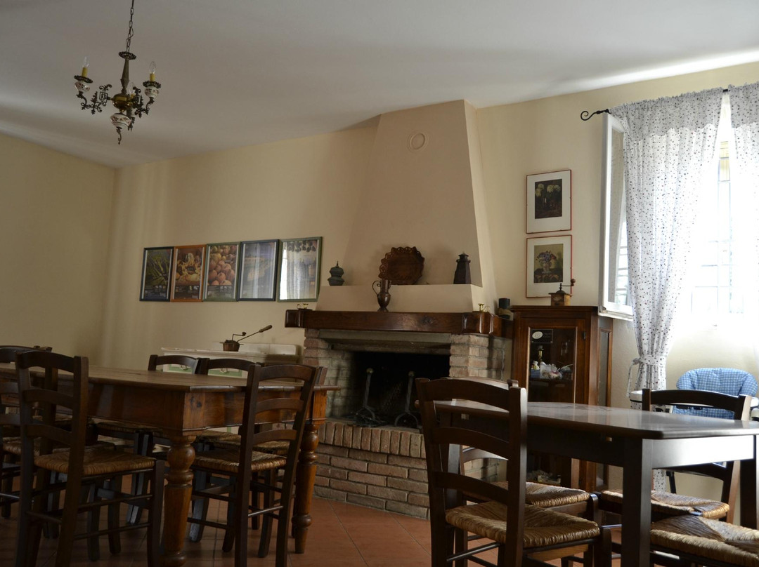 Agriturismo il Bio Nonno景点图片