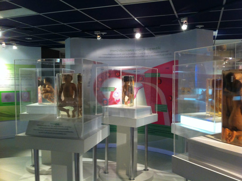 死亡博物馆-曼谷必去景点