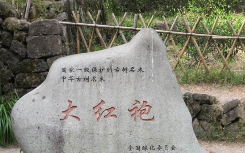 大红袍景区景点图片