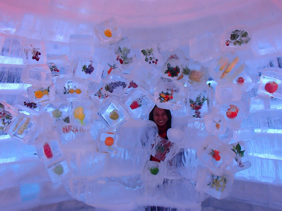 索科尔尼基公园-莫斯科必去景点