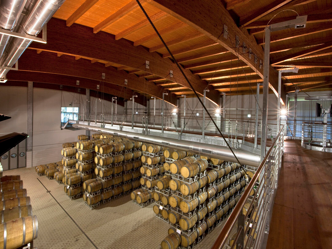 Terre da Vino