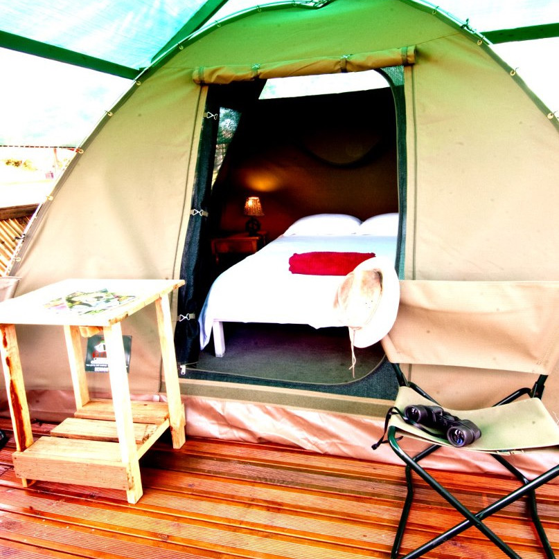 Rocky Road Backpackers