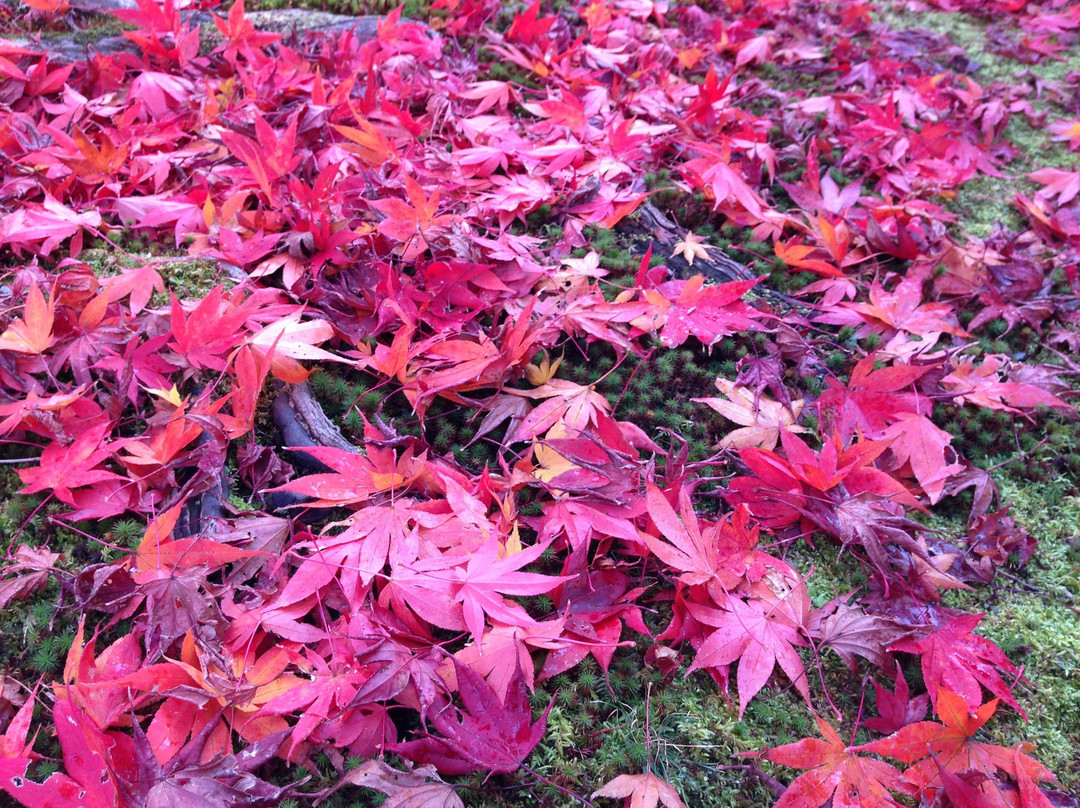 宝严院-京都市必去景点