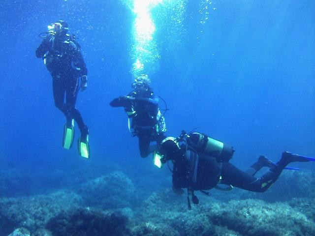Dive X Active Sport景点图片
