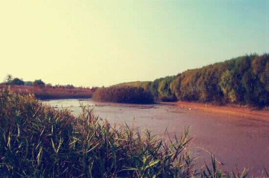 崇明长江三角洲国家地质公园