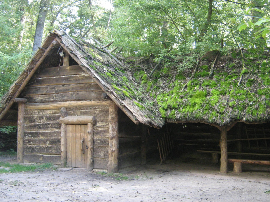 Muzeum Archeologiczne w Biskupinie-Biskupin必去景点