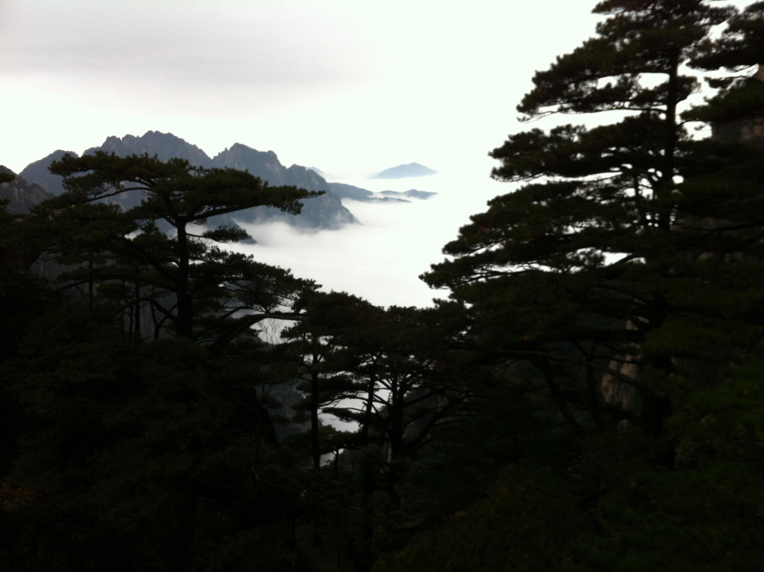 黄山地质公园-黄山市必去景点