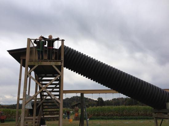 Kyker Farms Corn Maze-塞维尔维尔必去景点